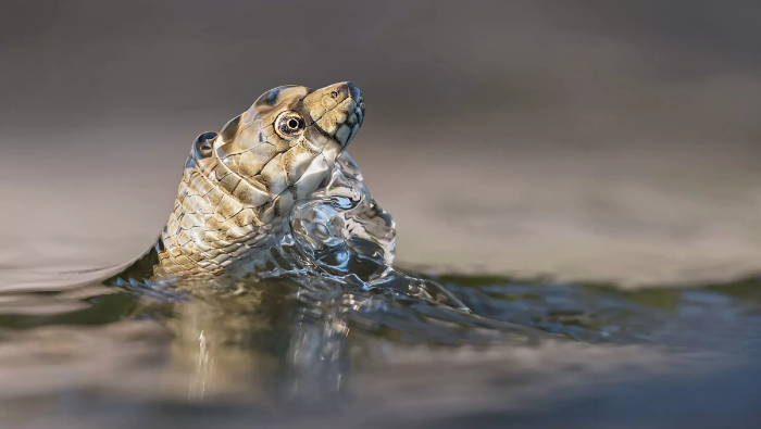 Íme a Theodora pályázatának legjobb fotói