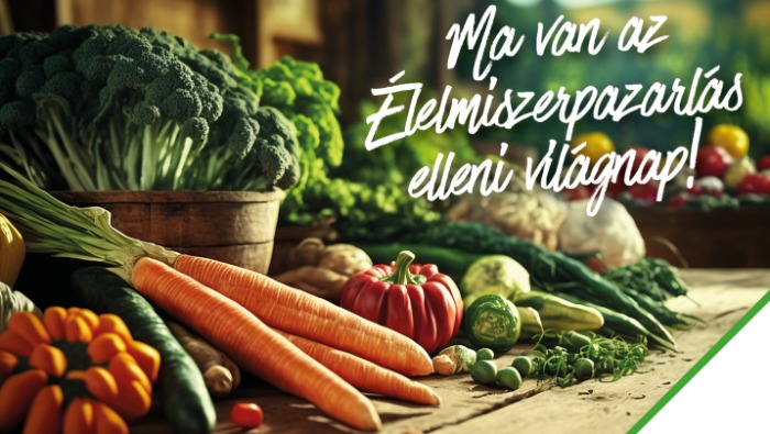 AI alapú app támogatja az élelmiszermentést az Auchanban