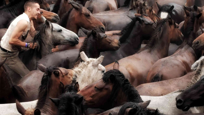 Megvannak a Huawei fotós versenyének győztesei