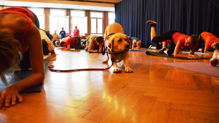 A látásvesztés egyik leggyakoribb oka a diabétesz