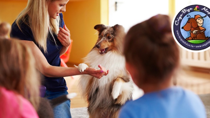 A folt eltűnik, a segítség nyomot hagy