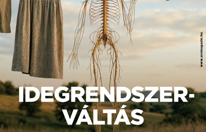 Idegrendszerváltás: már várják a nevezéseket a 26. ARC közérzeti pályázatra