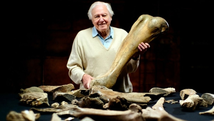 Új sorozattal jelentkezik Sir David Attenborough 