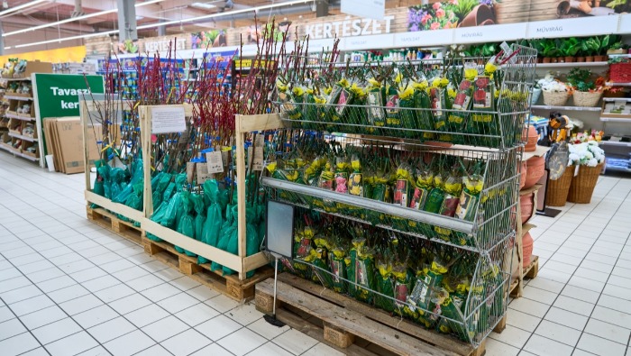 Így indul a nyár az Auchan áruházaiban