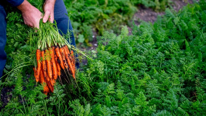 Az élelmiszer-pazarlás ellen küzdenek a Tesco partnerei