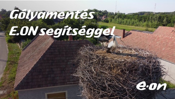 Bajba jutott gólyát mentettek Szanyban