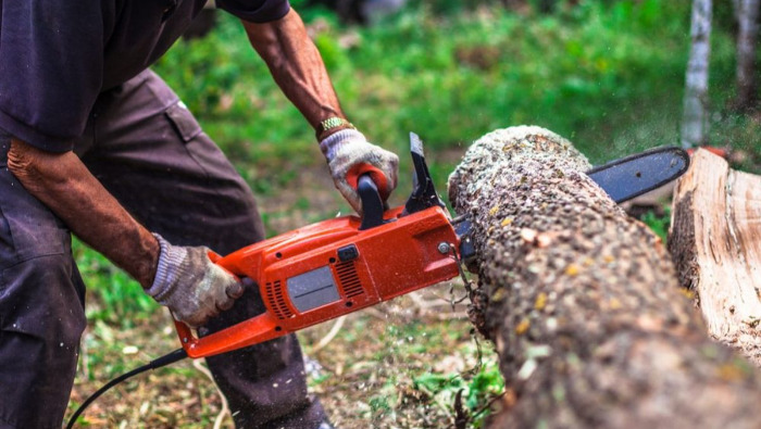 Euronics: Ezek lesznek a tavasz slágerei