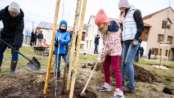 K&H: esély egy állat, egy rovar vagy egy növény számára
