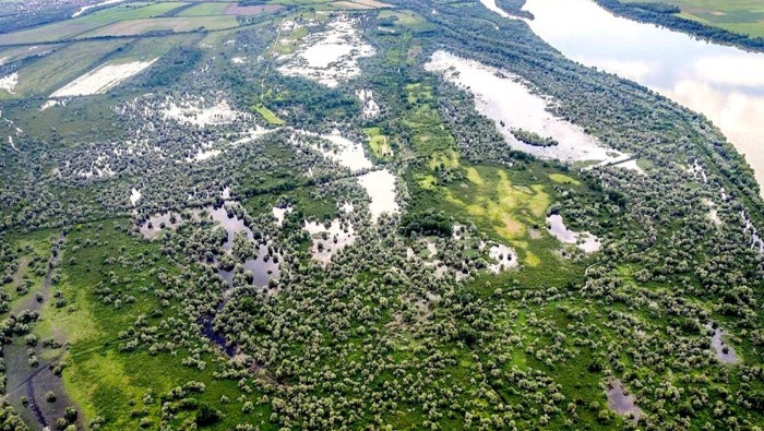 A WWF és a Coca-Cola együtt harcol a Dunáért