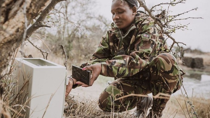 A Samsung bejelentette a Wildlife Watch kezdeményezés bővítését