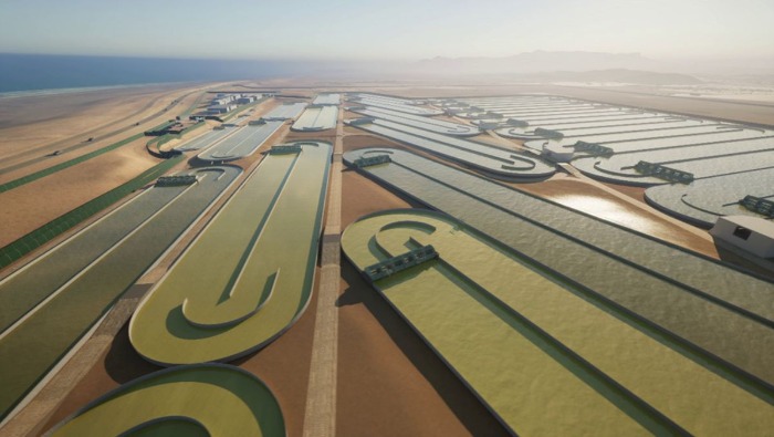 Algákkal vonják ki a szenet a légkörből