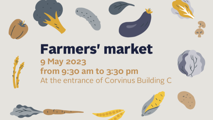 Ma nyílik az első egyetemi piac a Corvinuson