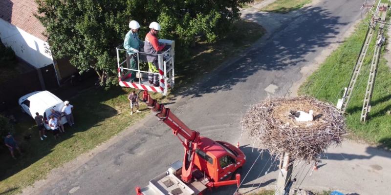 Szanyi gólyamentés E.ON segítséggel